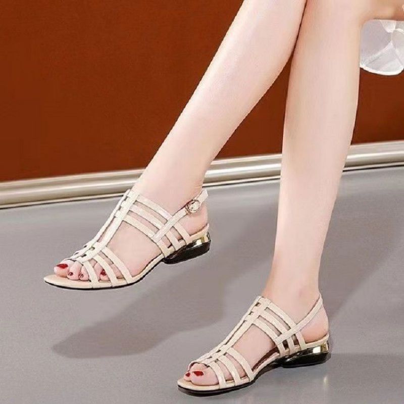 Casual Sports Women's Mid Heel Chunky Heel Sandals Oak